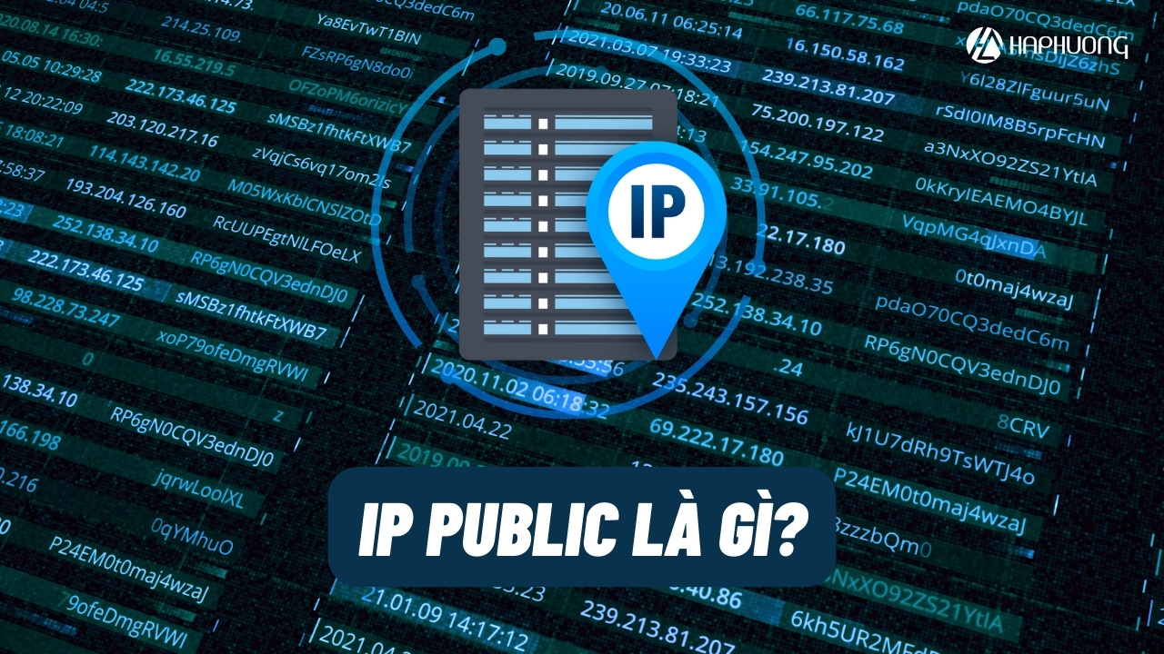 IP Public là gì? Các bước kiểm tra IP Public