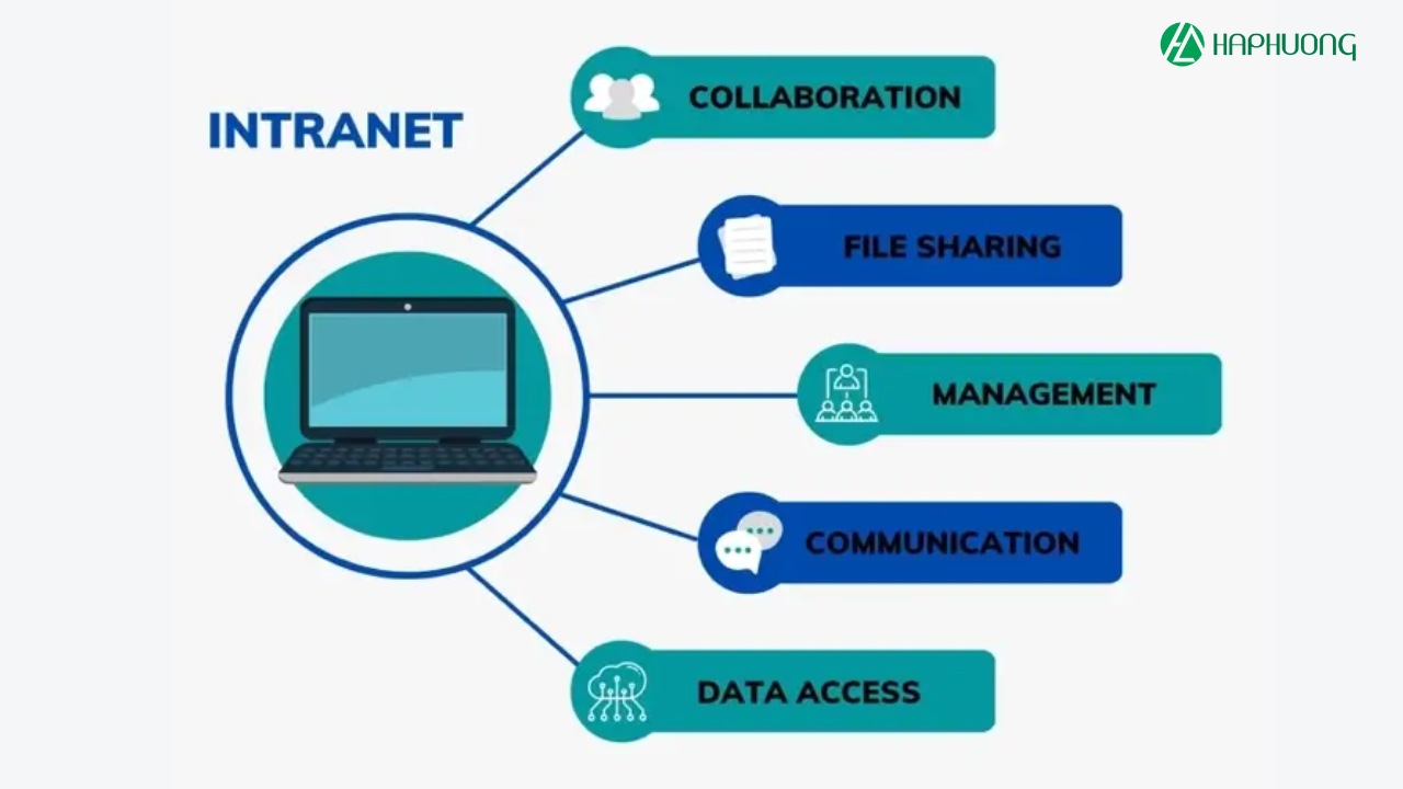 Các chức năng chính của mạng Intranet