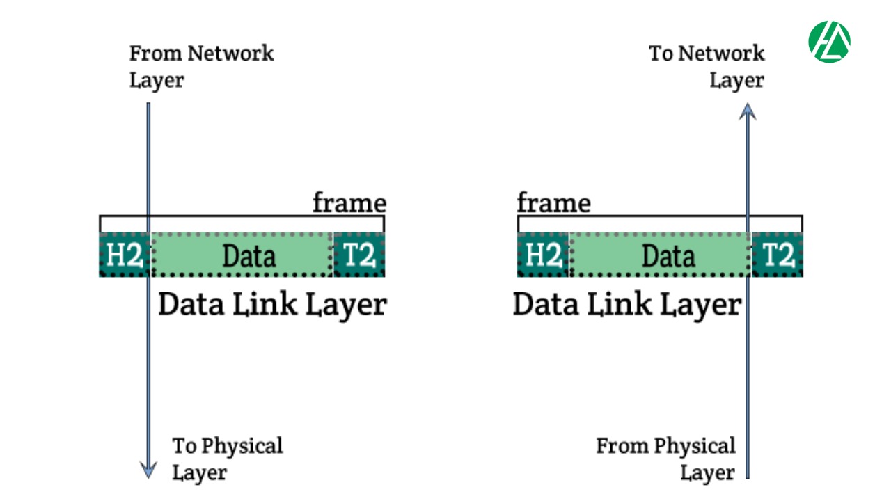 Data Link Layer là gì? Các giao thức phổ biến trong Data Link Layer ...